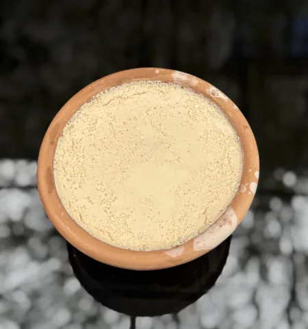 চিনি ছাড়া দই  - Doi